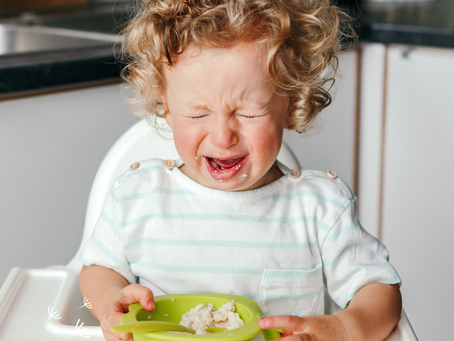 Vybíravé stravování batolat: Co mohu jako rodič udělat