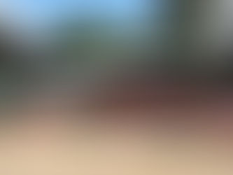 Studer Trust's Follow-up Program