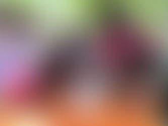 Teacher Training Center Starts Its 11th Cohort Of Teacher Training