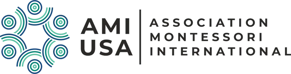 AMI-USA-Logo-1024x263.webp