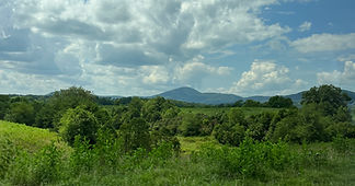 IMG_6105.jpeg