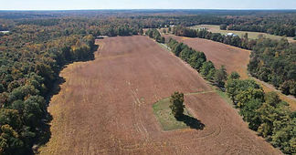 Livingston Manor BDR_Page27_Image1.jpg