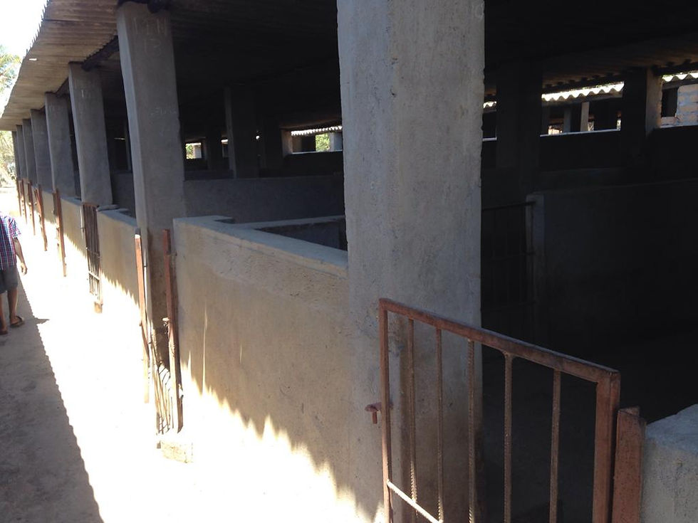 Thumbnail: Pig Housing Infrastructure 