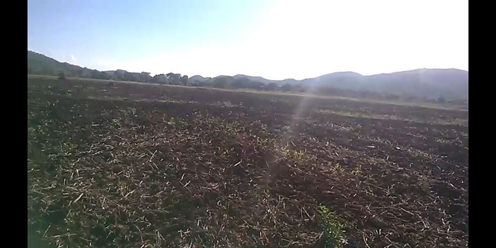 Thumbnail: Shamva plot (Horticulture) 