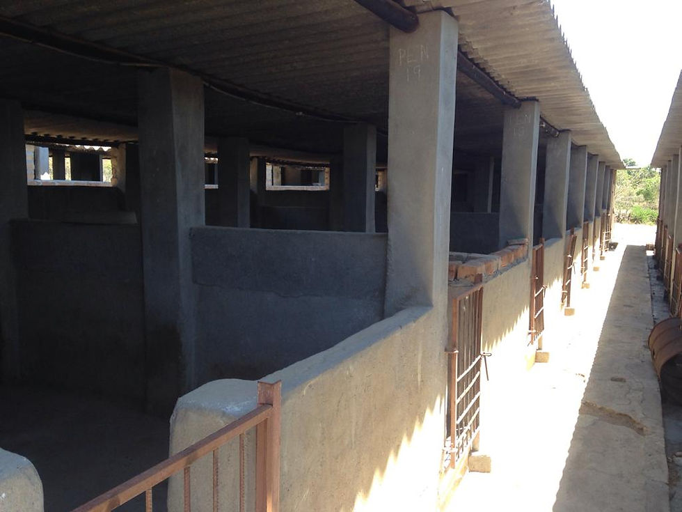 Thumbnail: Pig Housing Infrastructure 
