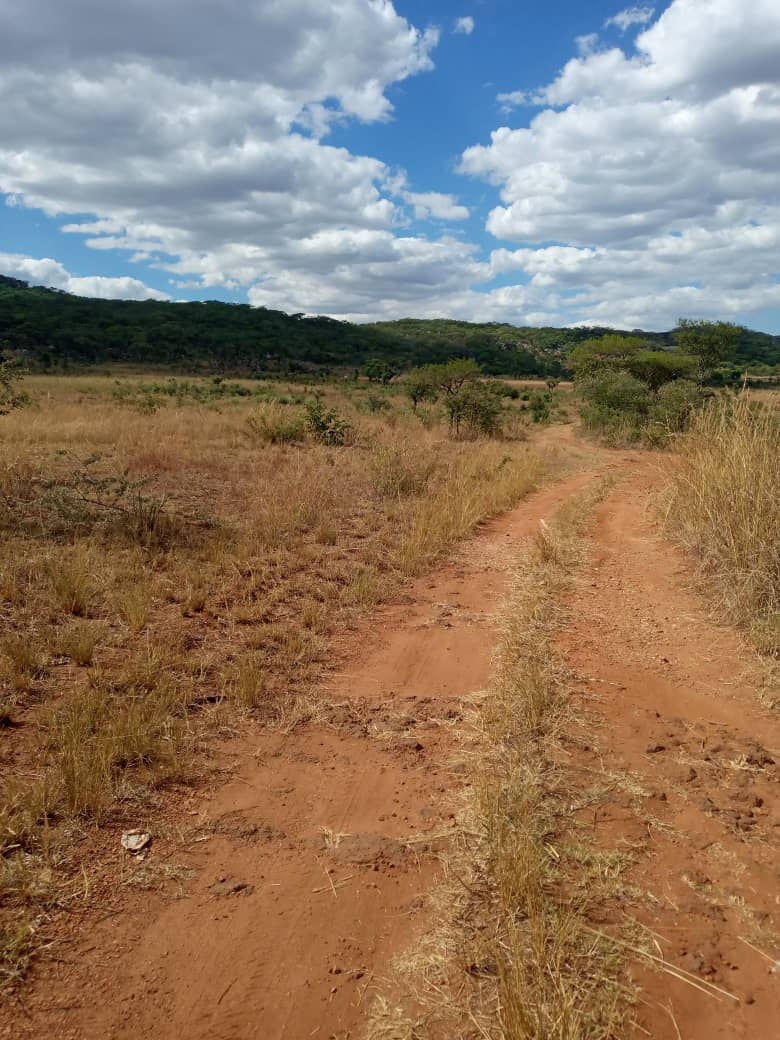 Thumbnail: Marondera Plot 80ha (available for sale) 
