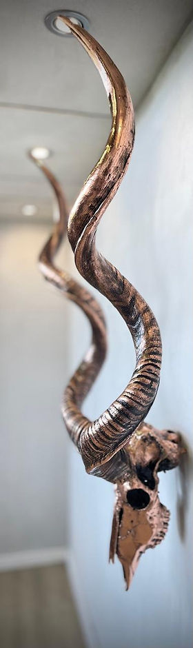 WhatsApp Image 2026-01-18 at 17.20.59 (2).jpeg