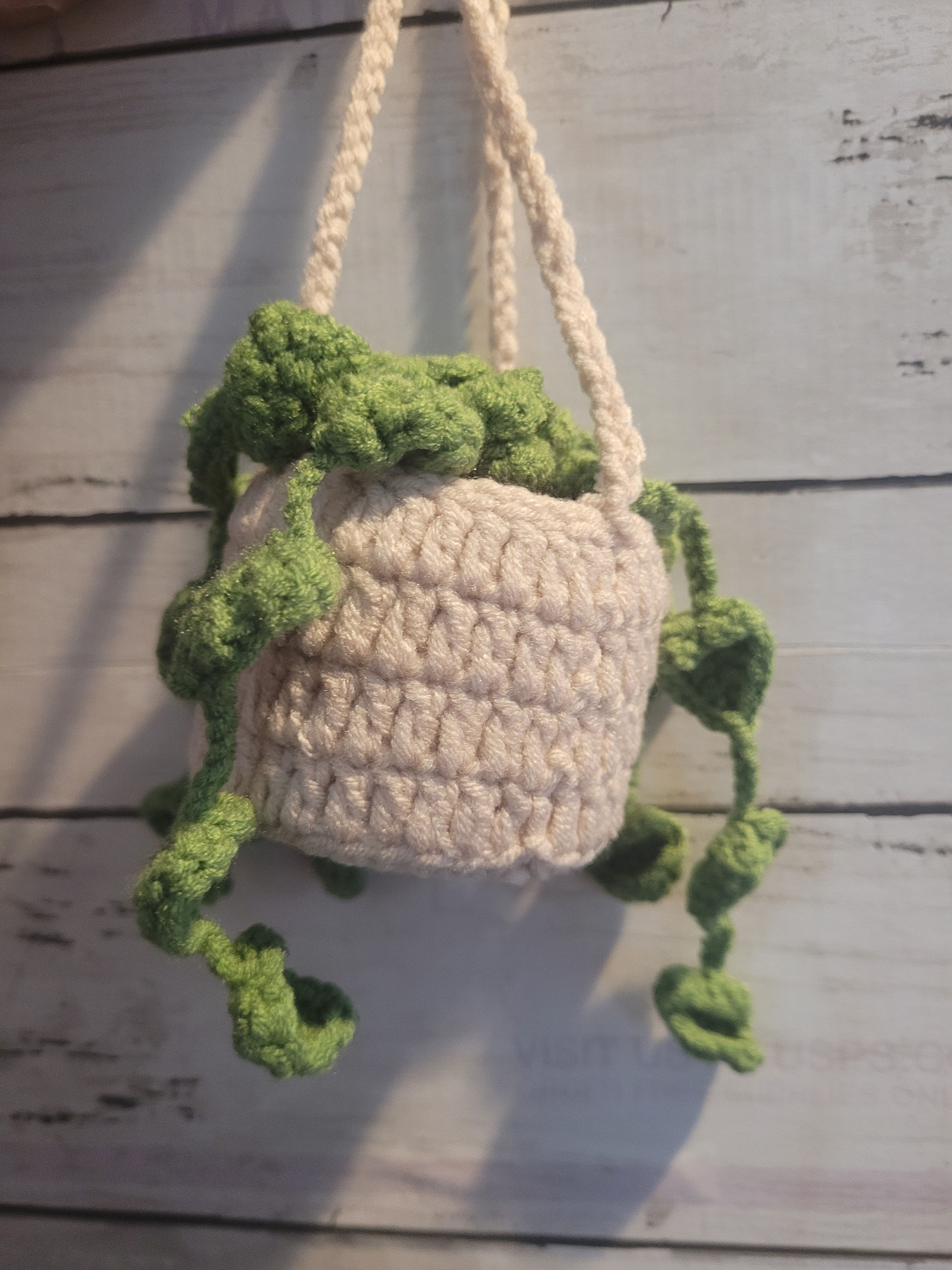 Car hanging basket planter 