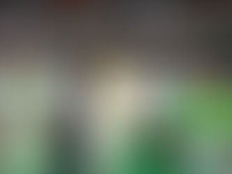 Quand le Parti démocratique gabonais chasse ses dissidents