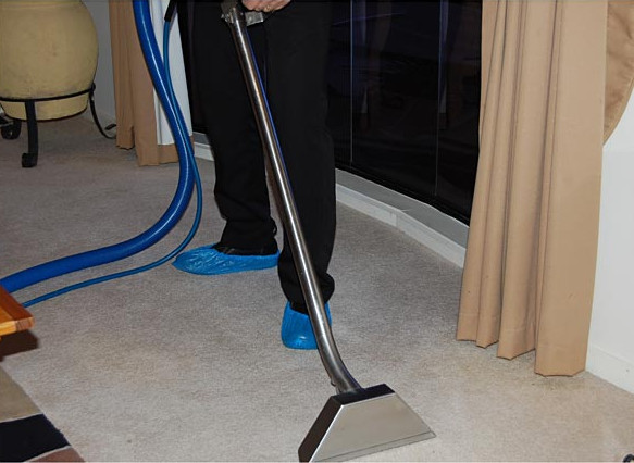 carpet-steam-cleaning-process