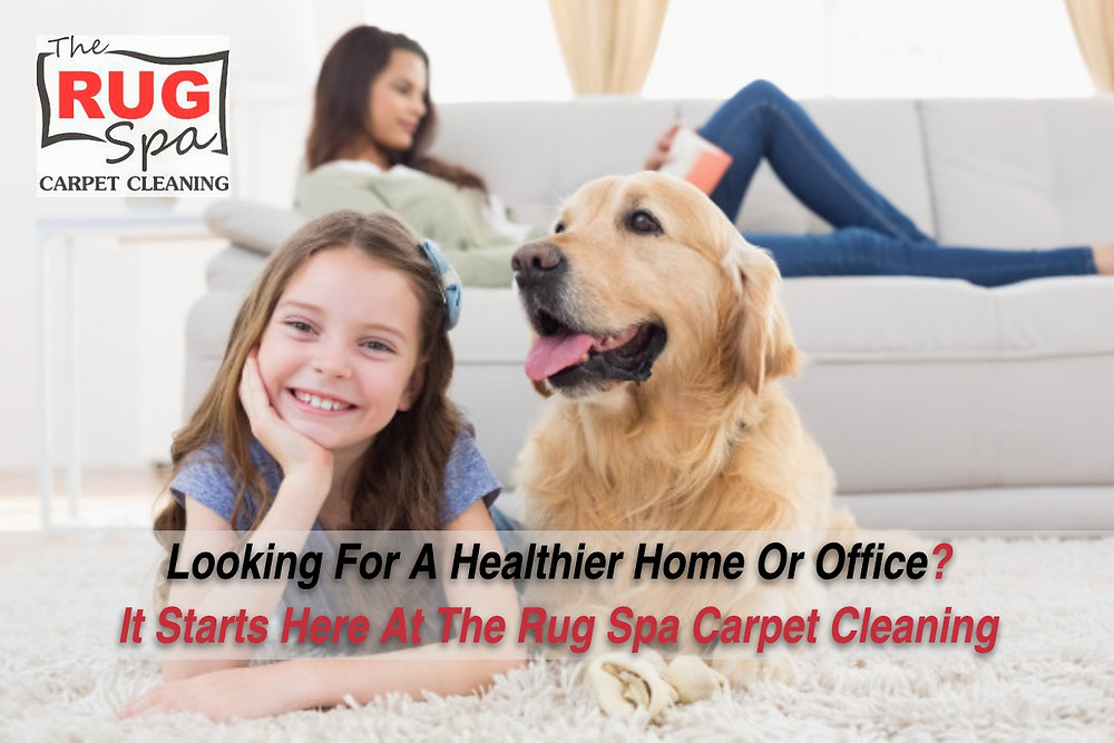 carpet-cleaning-services-canberra