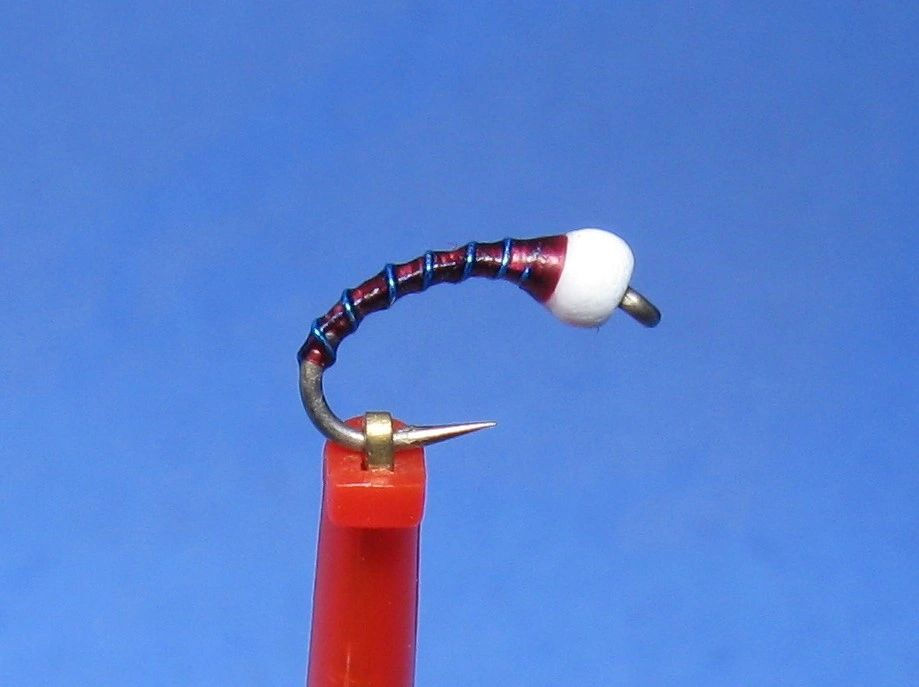 BLUE BLOOD MIDGE