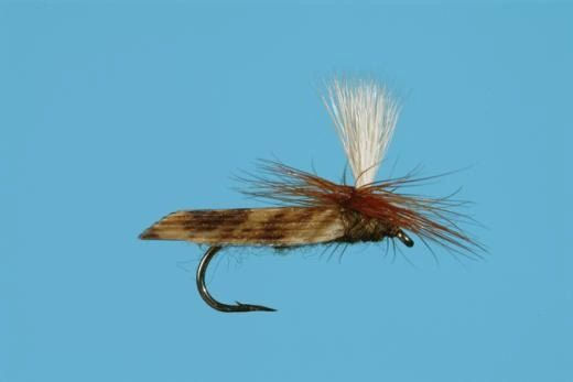 PARACHUTE CADDIS