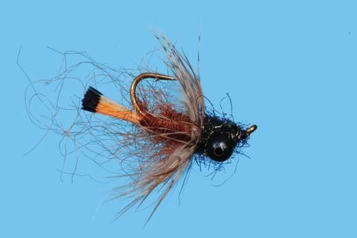 CARP COACHMAN