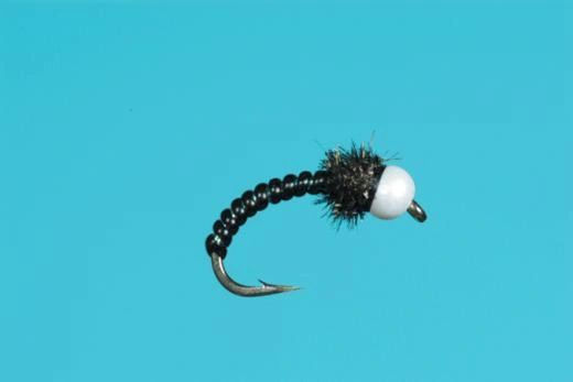 CHIRONOCONES - BLACK