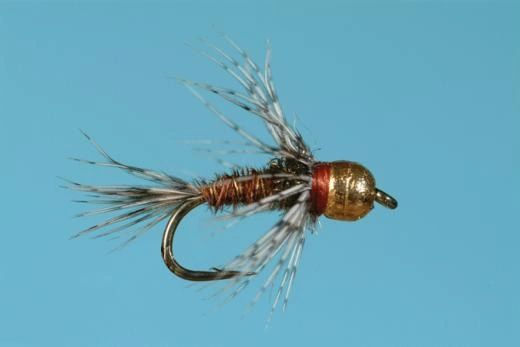 TUNGSTEN SOFT HACKLE PHEASANT TAIL