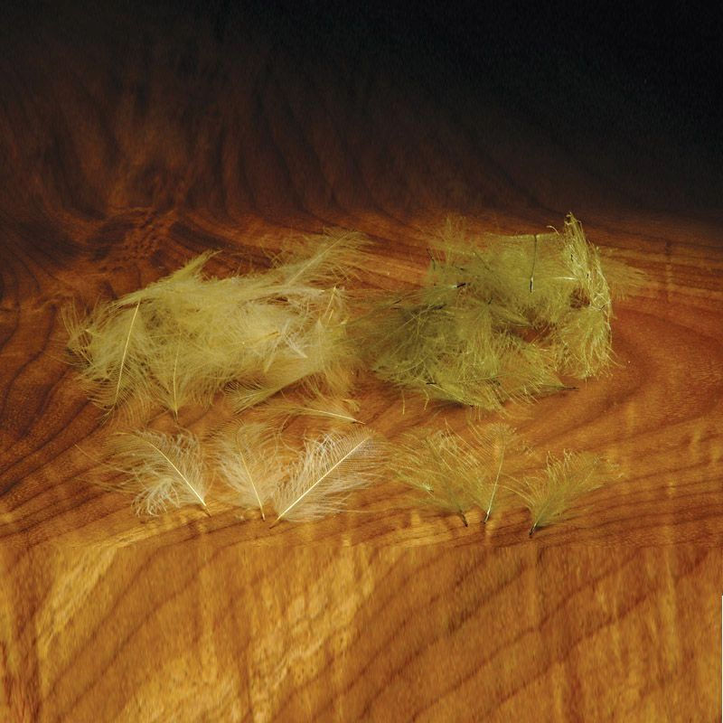 CUL DE CANARD FEATHERS