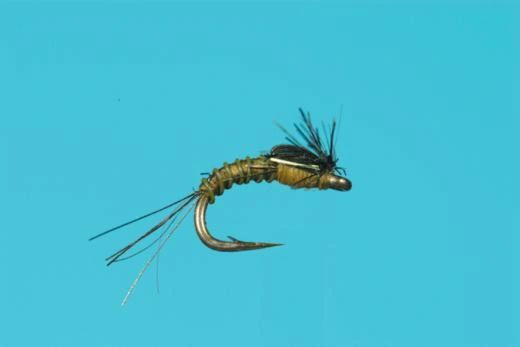 BTS NYMPH - LIGHT OLIVE