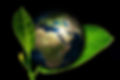 ree