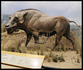 Denver Museum of Nature and Science