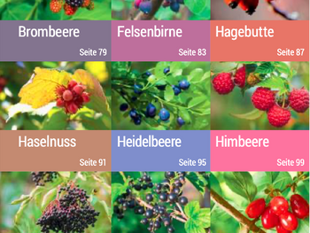 Buchempfehlung - Geh raus! Deine Stadt ist essbar