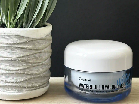 Jumiso Waterfull Hyaluronic Cream (Ingredients & Review)