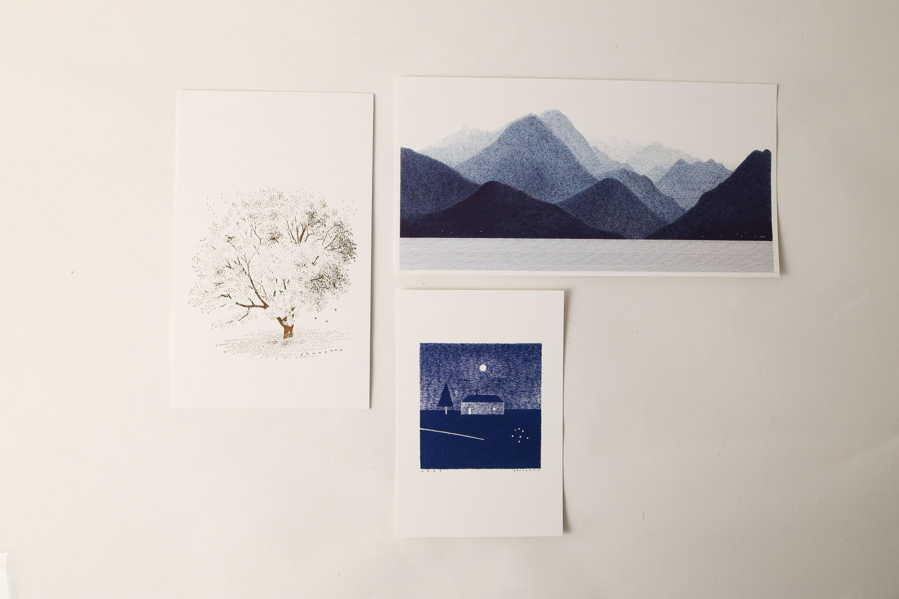 【しゅんしゅん】Post card・光の木/屋久島/彗星の小径(SN-49/50/51)