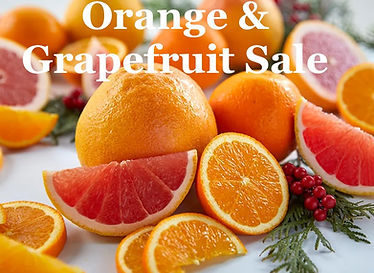 HG24-OrangesGrapefruit copy.jpg