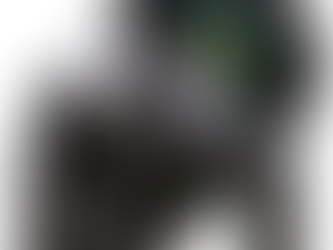 Robe iBOLTTM A Force of the Future!