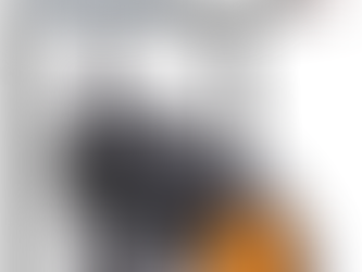 Robe iT12 Fresnel™