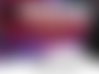 VEGAS: The vision of the future