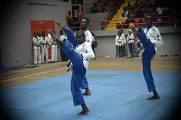 Nigeria's Taekwondo Promise: A Symphony of Youth, Diversity, and Ambition
