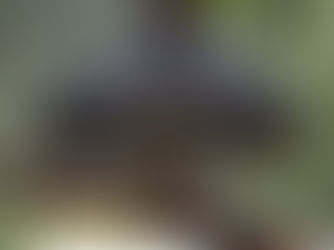  𝗣𝗥𝗢𝗧𝗘𝗚𝗘𝗥 𝗘𝗦𝗧 𝗨𝗡 𝗖𝗛𝗢𝗜𝗫