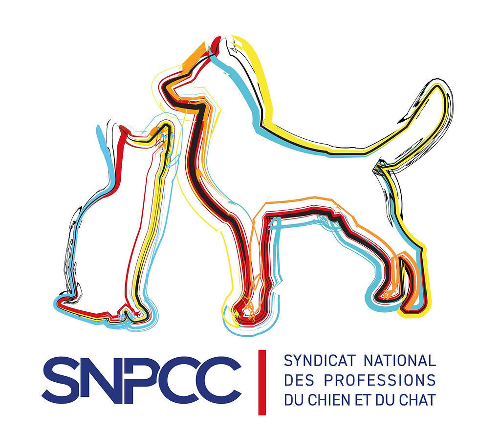 Logo SNPCC