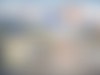 𝗔 𝗕𝗥𝗨𝗫𝗘𝗟𝗟𝗘𝗦, 𝗟𝗘 𝗗𝗥𝗢𝗜𝗧 𝗔 𝗟’𝗔𝗩𝗢𝗥𝗧𝗘𝗠𝗘𝗡𝗧 𝗡’𝗘𝗦𝗧 𝗣𝗔𝗦 𝗔𝗧𝗧𝗔𝗤𝗨𝗘 𝗙𝗥𝗢𝗡𝗧𝗔𝗟𝗘𝗠𝗘𝗡𝗧. 𝗜𝗟 𝗘𝗦𝗧 𝗖𝗢𝗡𝗧𝗢𝗨𝗥𝗡𝗘. 𝗘𝗥𝗢𝗗𝗘. 𝗙𝗥𝗔𝗚𝗜𝗟𝗜𝗦𝗘.