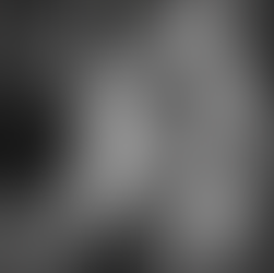 Cheval hypersensible : mythe ou réalité biologique ?