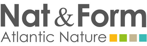 Logo Nat & Form - Centre de bilan de compétences en ligne - Mon job d'après