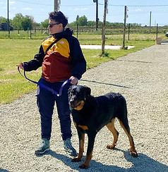 Léo Pixel Dogs éducateur canin Nantes