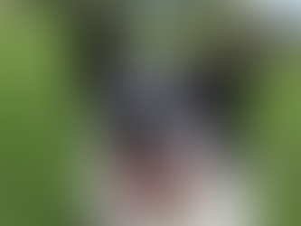 L'entretien des dents du chien : Un guide complet pour une santé bucco-dentaire optimale