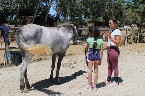 Prestation Équithérapie pour Enfants Neuroatypiques à Narbonne