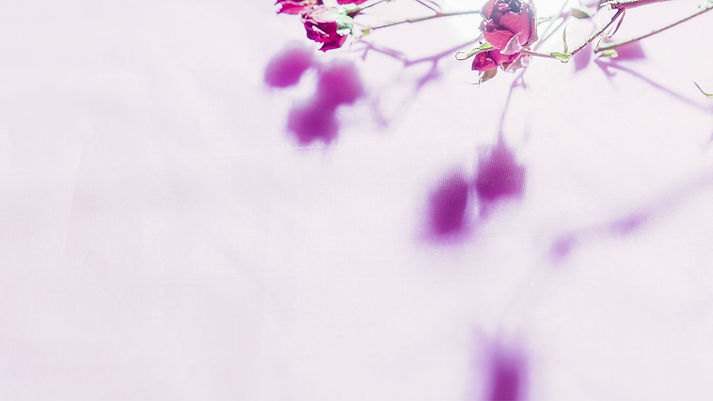 Lait corporel - Lylicosmédream's