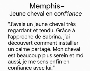 témoignage séance âmes sauvages