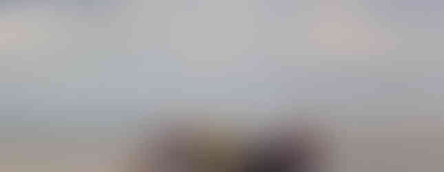 Barqueata COP30 por Mirna Wabi-Sabi