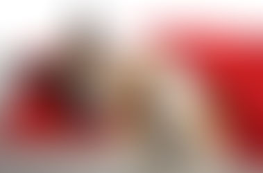 The Importance of High-Quality Dog Beds