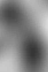 black and white photo of stylish london wedding in chelsea