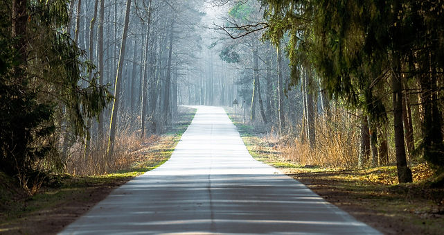 Weg durch einen geheimnisvollen Wald