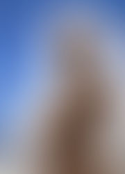 O Segredo dos últimos tempos comunicado nas Aparições de La Salette - França