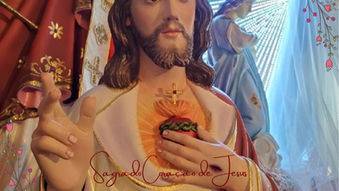 07.10.2020 |"O meu Sagrado Coração triunfará pelo Rosário da minha Mãe"