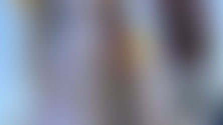 14.07.2019 | "Avante, meus filhos! É necessário que vocês tornem as minhas Aparições mais conhe