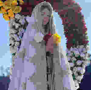 Rosa Mística Jacareí